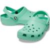 Crocs Unisex Adult Classic Clog(Jade Stone)