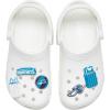 Crocs Jibbitz Shoe Charms, NBA Basketball Teams Sports Collection Multi Packs(Charlotte Hornets)