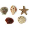 Crocs Jibbitz Around The World Charms for Kids’ Shoes – 100% Man-Made Material – Synthetic(She Sells Seashells)