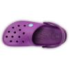 Crocs Unisex Adult Classic Seasonal Grpahic Clogs(Amethyst Viola)