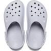 Crocs Unisex Adult Classic Seasonal Grpahic Clogs(Microchip)