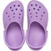 Crocs Unisex Adult Classic Seasonal Grpahic Clogs(Orchid)