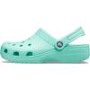 Crocs Unisex Adult Classic Clogs(Pistachio)