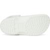 Crocs Kid’s Classic Clog(Mint Tint)