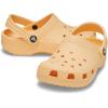Crocs Boys’ Classic Graphic Monster Print Clogs(Golden Hour)