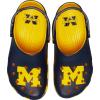 Crocs Boys’ Classic Graphic Monster Print Clogs(Michigan)