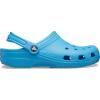 Crocs Boys’ Classic Graphic Monster Print Clogs(Venetian Blue)