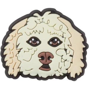 Crocs Boys’ Classic Graphic Monster Print Clogs(Golden Doodle)