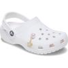 Crocs Jibbitz Girls’ Favorites Shoe Charms(Pink Pearl and Gold Flower)