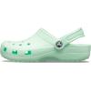 Crocs Unisex-Adult Classic Clog, Clogs for Women and Men(Celery)